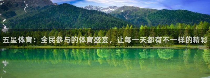 五星体育公司：五星体育：全民参与的体育盛宴，让每一天都有不一样的精彩