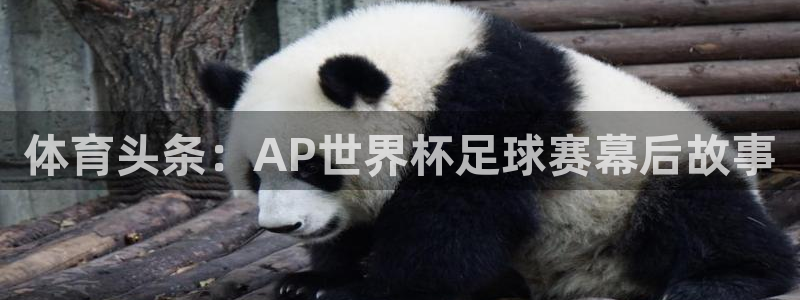 五星体育网页版：体育头条：AP世界杯足球赛幕后故事