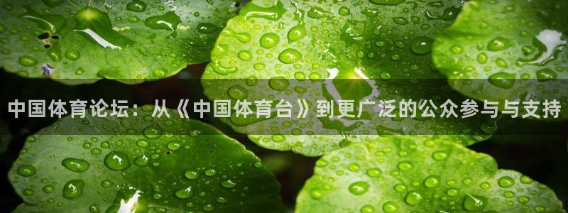 手机上看五星体育：中国体育论坛：从《中国体育台》到更广泛的公众参与与支持