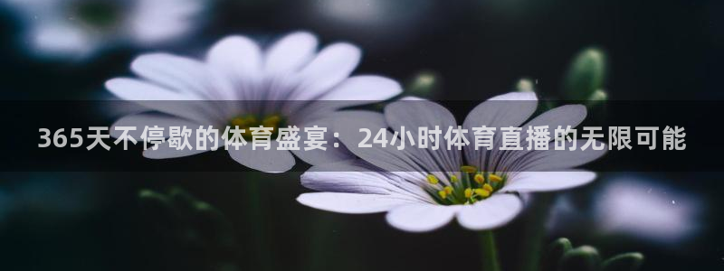 中超五星体育直播：365天不停歇的体育盛宴：24小时体育直播的无限可能