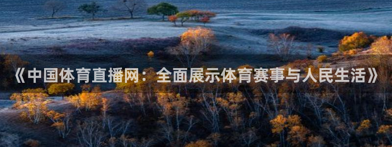 张效玮 五星体育：《中国体育直播网：全面展示体育赛事与人民生活》