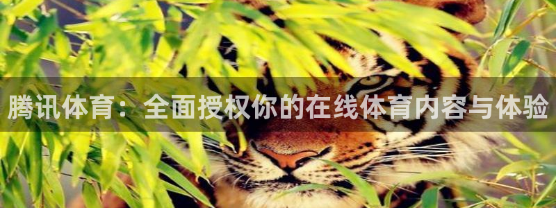 五星体育网页直播：腾讯体育：全面授权你的在线体育内容与体验