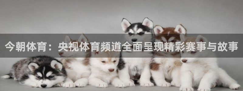 五星体育直播官网入口：今朝体育：央视体育频道全面呈现精彩赛事与故事