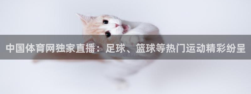 五星体育直播怎么看：中国体育网独家直播：足球、篮球等热门运动精彩纷呈