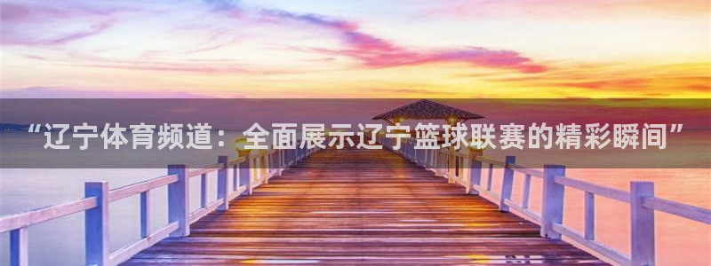 f1直播五星体育回放：“辽宁体育频道：全面展示辽宁篮球联赛的精彩瞬间”