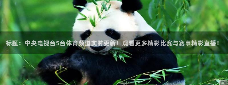 五星体育天天直播：标题：中央电视台5台体育频道实时更新！观看更多精彩比赛与赛事精彩直播！