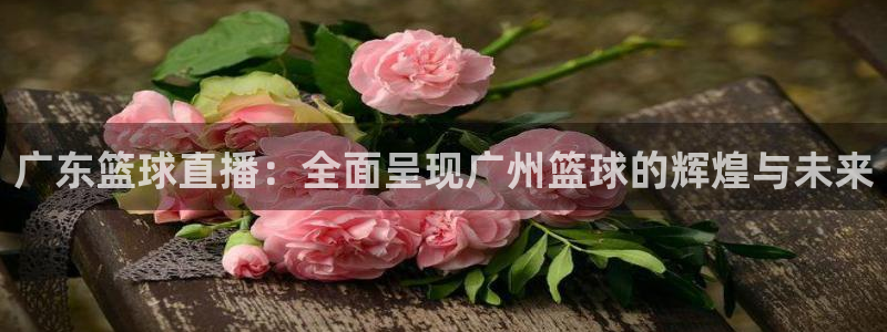五星体育女主持人：广东篮球直播：全面呈现广州篮球的辉煌与未来
