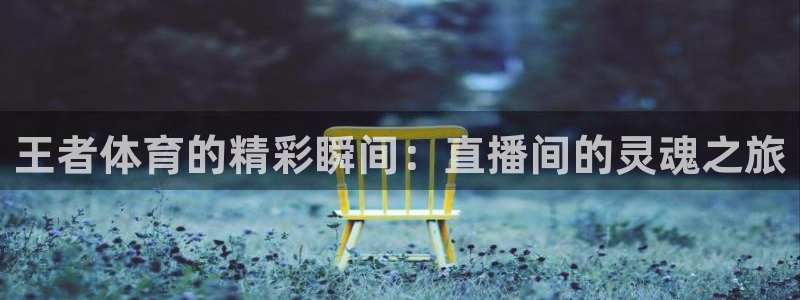 五星体育哪里看得到：王者体育的精彩瞬间：直播间的灵魂之旅